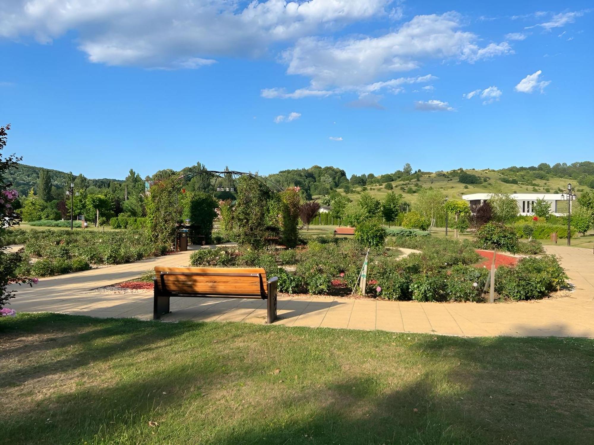 Vila Cu Mesteceni Câmpina Exterior foto